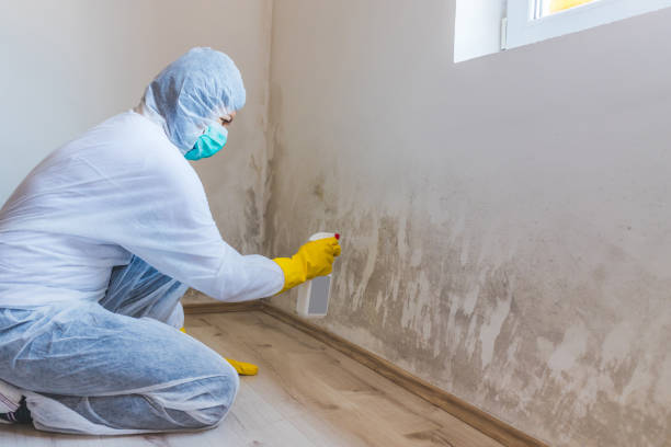 Mold Remediation specialist working in Worton